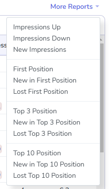 More Reports dropdown.