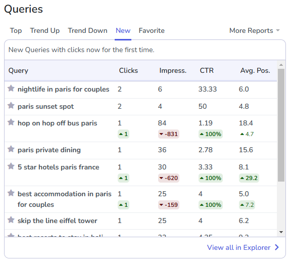 Example: the New Queries Report